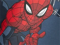 Name It bering sea Spiderman sweatbluse